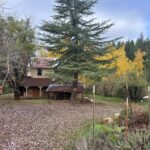 Photo 13 for Hassler Ranch