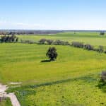 Photo 21 for Lake Ramona Cattle Company