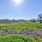 Photo 35 for Lake Ramona Cattle Company