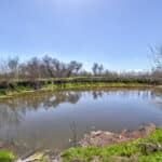 Photo 33 for Lake Ramona Cattle Company