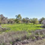 Photo 45 for Lake Ramona Cattle Company