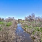 Photo 44 for Lake Ramona Cattle Company