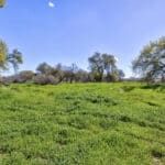 Photo 47 for Lake Ramona Cattle Company