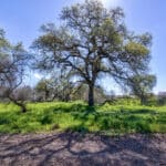 Photo 42 for Lake Ramona Cattle Company