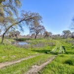 Photo 53 for Lake Ramona Cattle Company