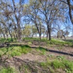 Photo 54 for Lake Ramona Cattle Company