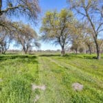 Photo 56 for Lake Ramona Cattle Company