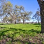 Photo 57 for Lake Ramona Cattle Company