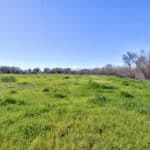 Photo 64 for Lake Ramona Cattle Company