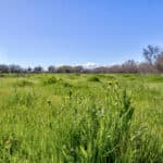 Photo 65 for Lake Ramona Cattle Company