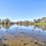 Photo 62 for Lake Ramona Cattle Company