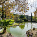 Photo 10 for Marconi Ranch