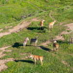 Photo 52 for Marconi Ranch