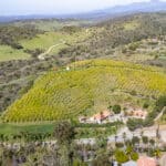 Photo 54 for Marconi Ranch