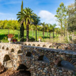 Photo 7 for Marconi Ranch