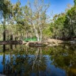 Photo 94 for Marconi Ranch