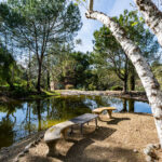 Photo 96 for Marconi Ranch