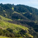 Photo 21 for Mazzini Ranch