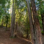 Photo 22 for Mazzini Ranch