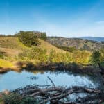 Photo 24 for Mazzini Ranch