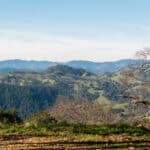 Photo 28 for Mazzini Ranch