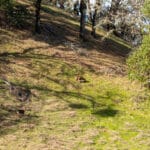 Photo 48 for Mazzini Ranch