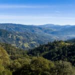 Photo 50 for Mazzini Ranch