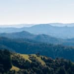 Photo 58 for Mazzini Ranch