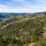 Photo 61 for Mazzini Ranch