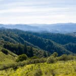 Photo 62 for Mazzini Ranch