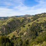 Photo 63 for Mazzini Ranch