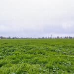 Photo 4 for 1692 S Beverly Street, Porterville