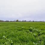 Photo 5 for 1692 S Beverly Street, Porterville