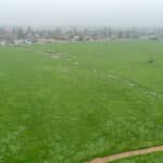 Photo 7 for 1692 S Beverly Street, Porterville