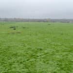 Photo 11 for 1692 S Beverly Street, Porterville