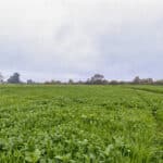 Photo 12 for 1692 S Beverly Street, Porterville