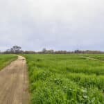 Photo 14 for 1692 S Beverly Street, Porterville