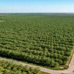 Photo 3 for 5274 Avenue 24, Chowchilla