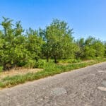 Photo 11 for 5274 Avenue 24, Chowchilla