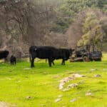 Photo 57 for Ordway Pocket Ranch