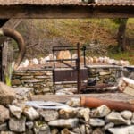 Photo 15 for Ordway Pocket Ranch