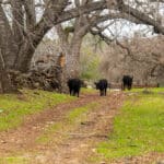 Photo 56 for Ordway Pocket Ranch