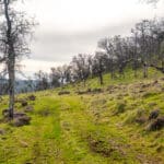 Photo 59 for Ordway Pocket Ranch