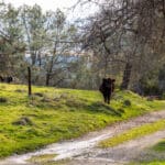 Photo 42 for Ordway Pocket Ranch