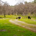 Photo 58 for Ordway Pocket Ranch