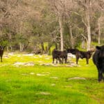 Photo 62 for Ordway Pocket Ranch