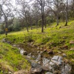 Photo 44 for Ordway Pocket Ranch