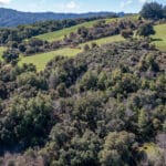 Photo 10 for The Vintner's Overlook at Montebello