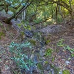 Photo 16 for The Vintner's Overlook at Montebello