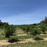 Photo 25 for Cottonwood Creek Ranch and Orchard